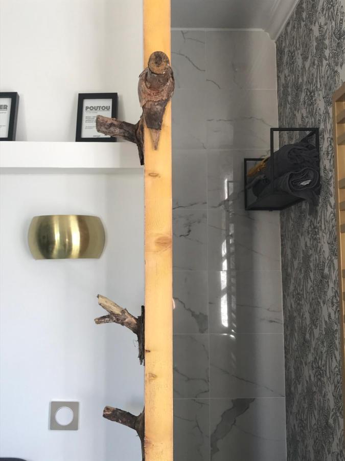 La Loge 45 Au Coeur Du Centre Historique De Rodez公寓 外观 照片