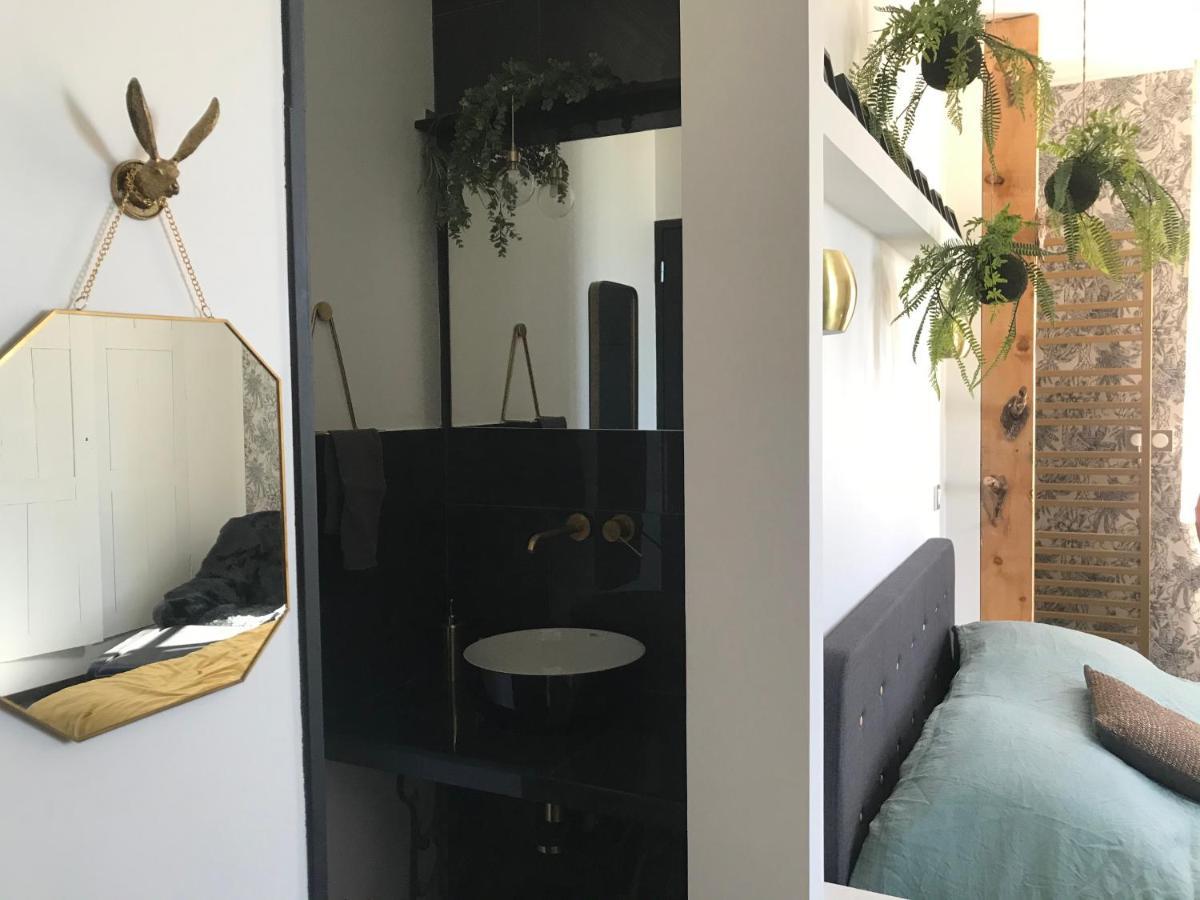 La Loge 45 Au Coeur Du Centre Historique De Rodez公寓 外观 照片